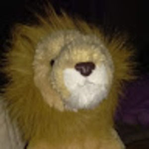 Meet your Posher, Leonthelion